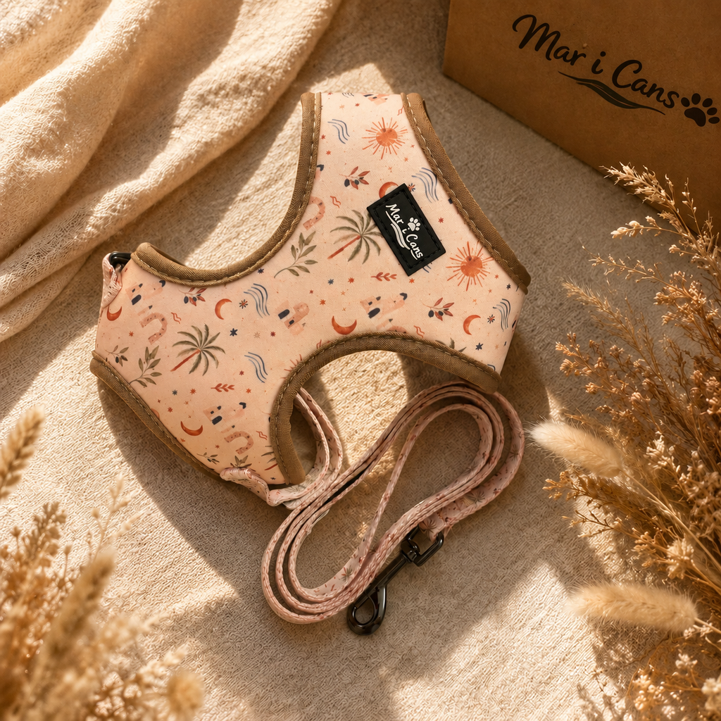 Conjunto Capvespre