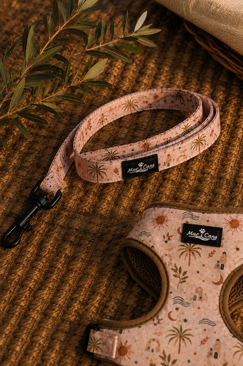 Conjunto Capvespre